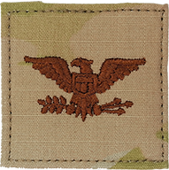 O6 Colonel - U.S. AIR FORCE OCP RANK -- W/HOOK BACKING