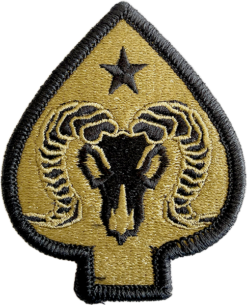 17th Sustainment Brigade MultiCam (OCP) Patch