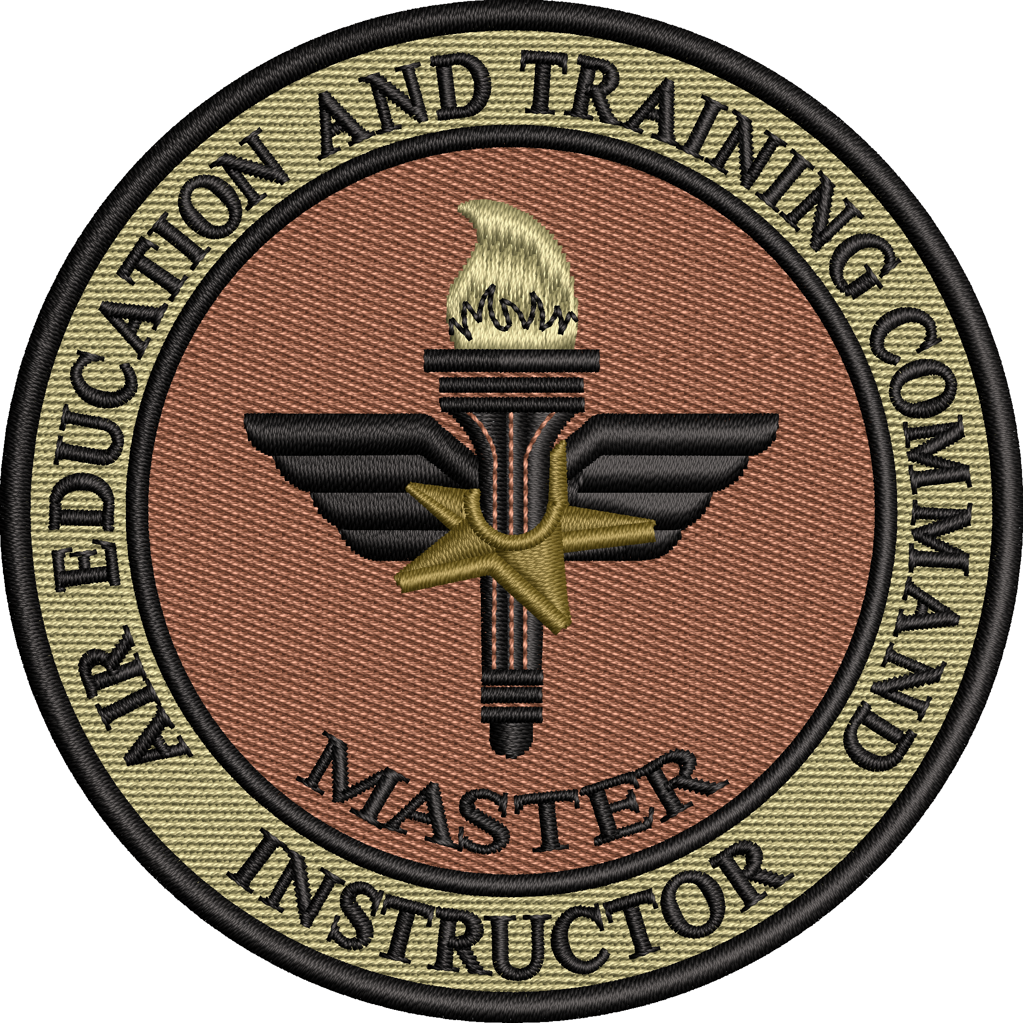 Air Education & Training Command (AETC) Master Instructor - LARGE- OCP