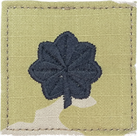 O5 Lt Col- U.S. AIR FORCE OCP RANK -- W/HOOK BACKING