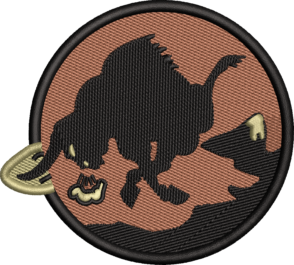 17th Attack Squadron Friday Patch - OCP