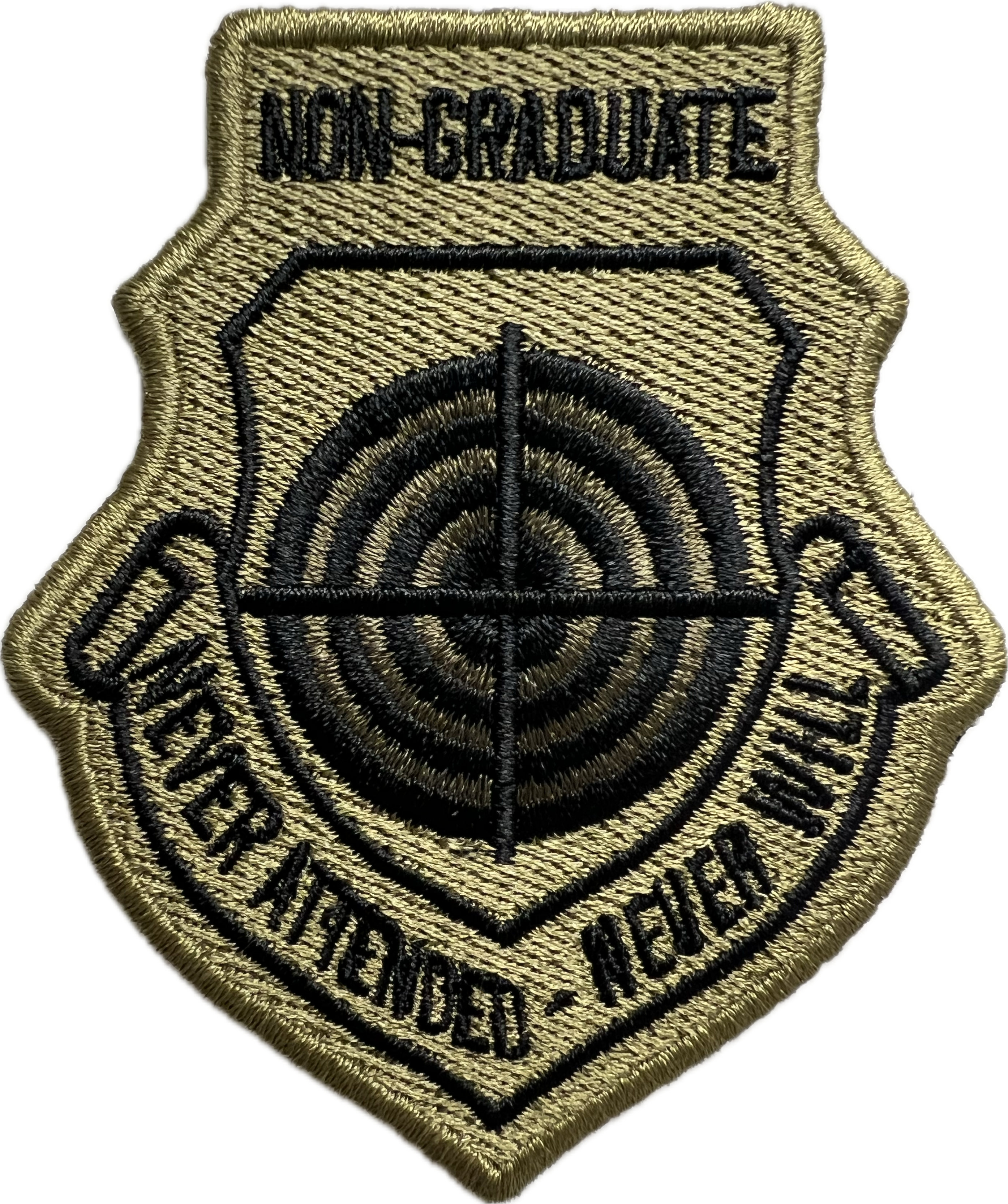 U.S. Air Force Weapons School ---------   NON-Graduate Patch OCP