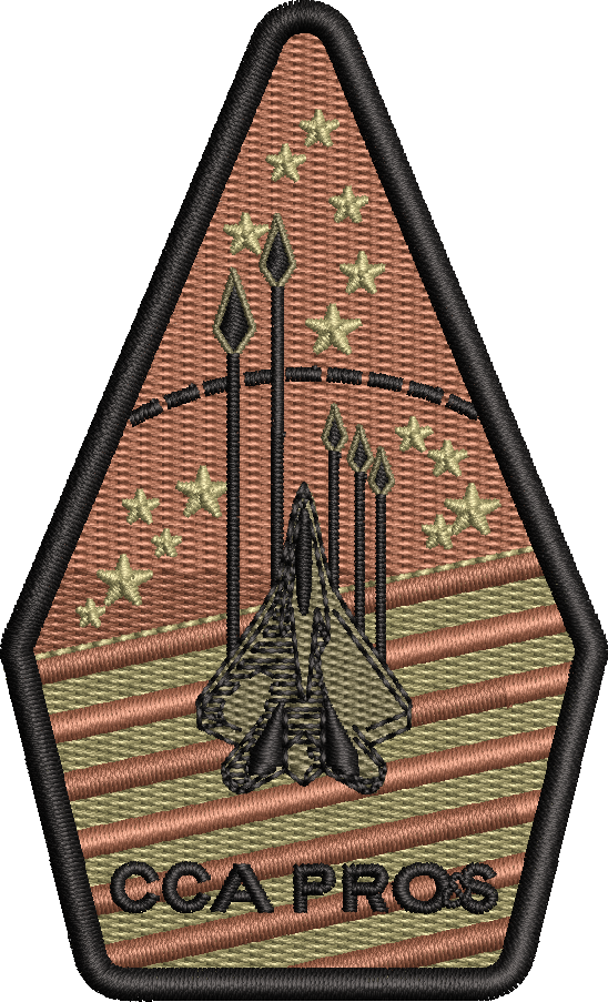 CCA Pros - OCP