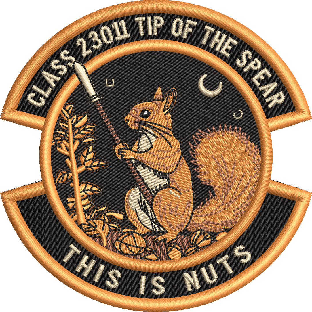 Class 23011 Tip of the Spear - 'This is Nuts'