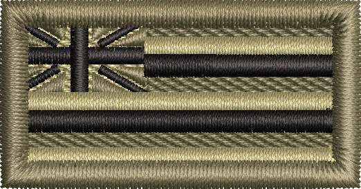 Hawaii State Flag - Pen Tab Subdued