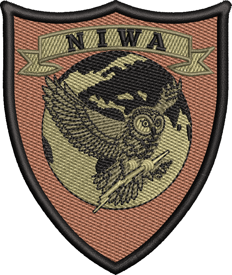 Naval Information Warfare Activity (NIWA)