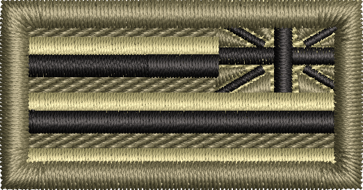 Reversed Hawaii State Flag - Pen Tab Subdued