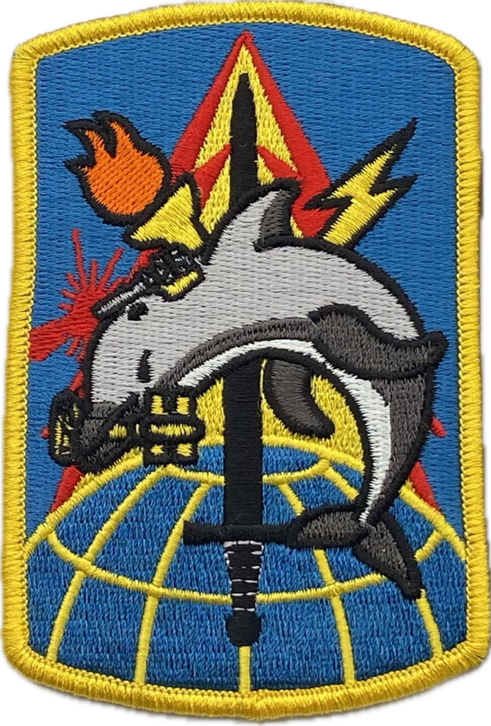 116th MI BDE Dolphins