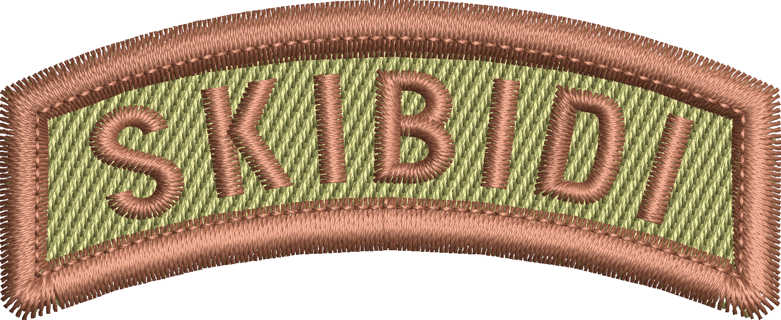 Skibidi  - Rocker Tab