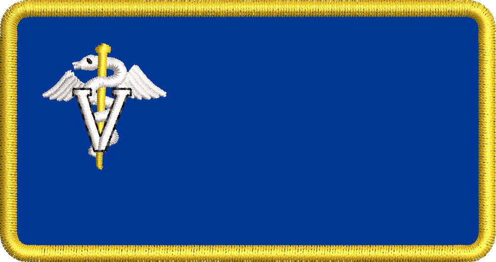 Veterinarian Caduceus - Flight Suit Name Tag