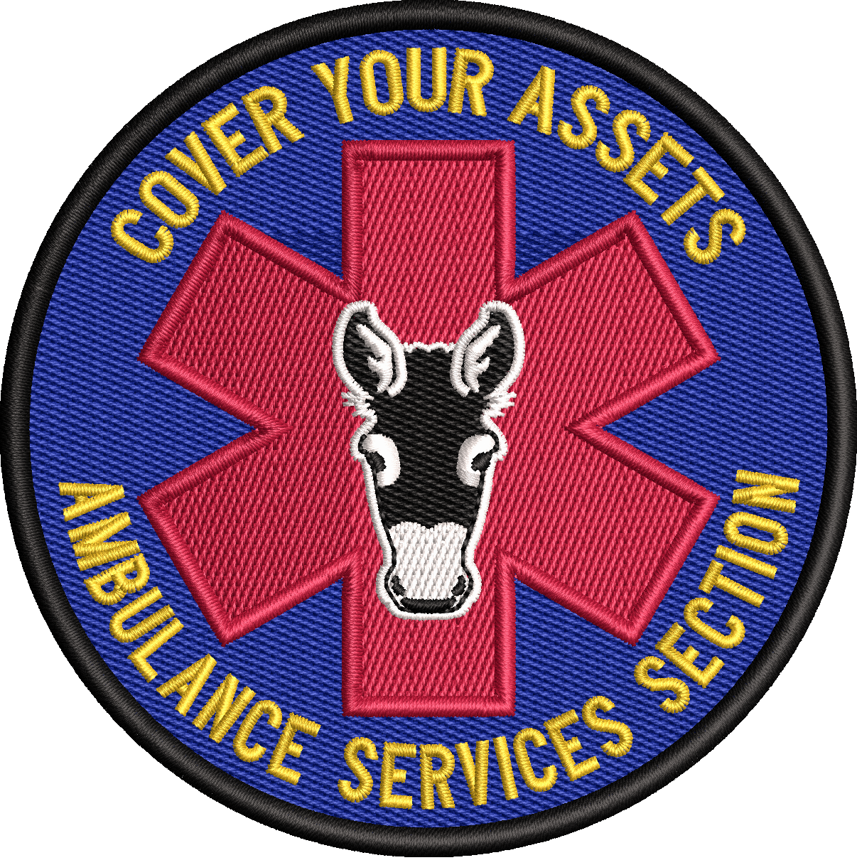 Ambulance Services Section - Cover your assets - COLOR