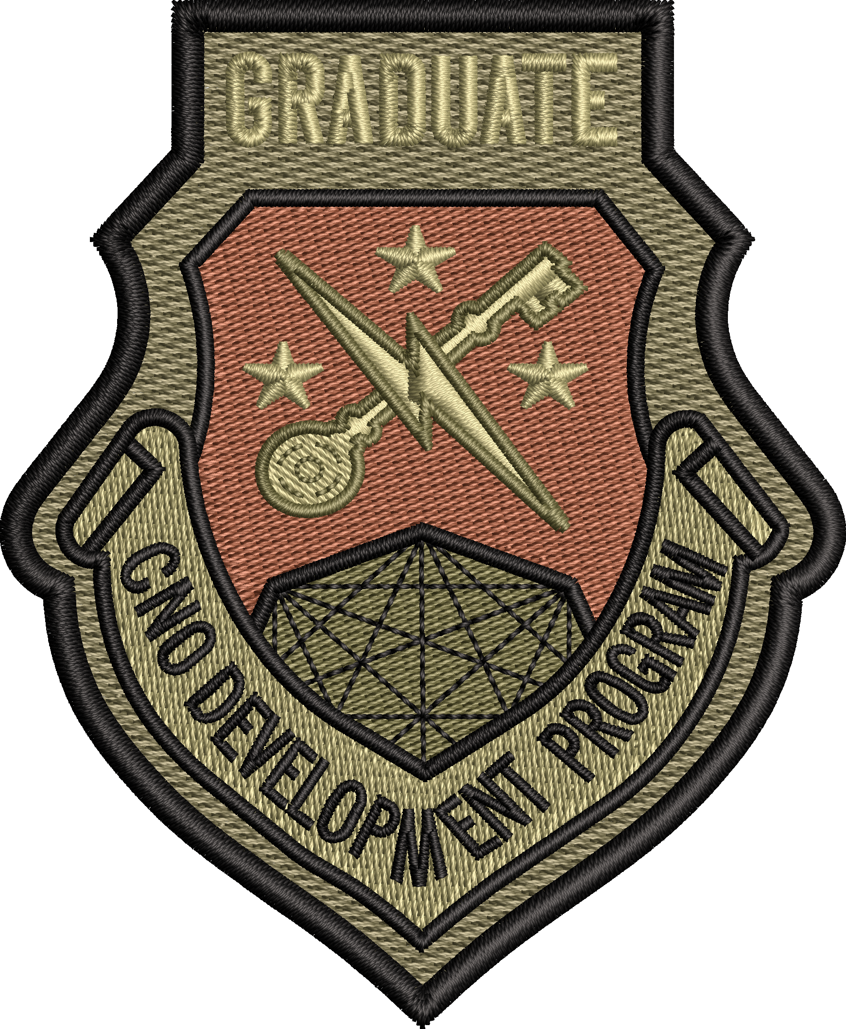 Cno Developer CNO Development Program - Graduate